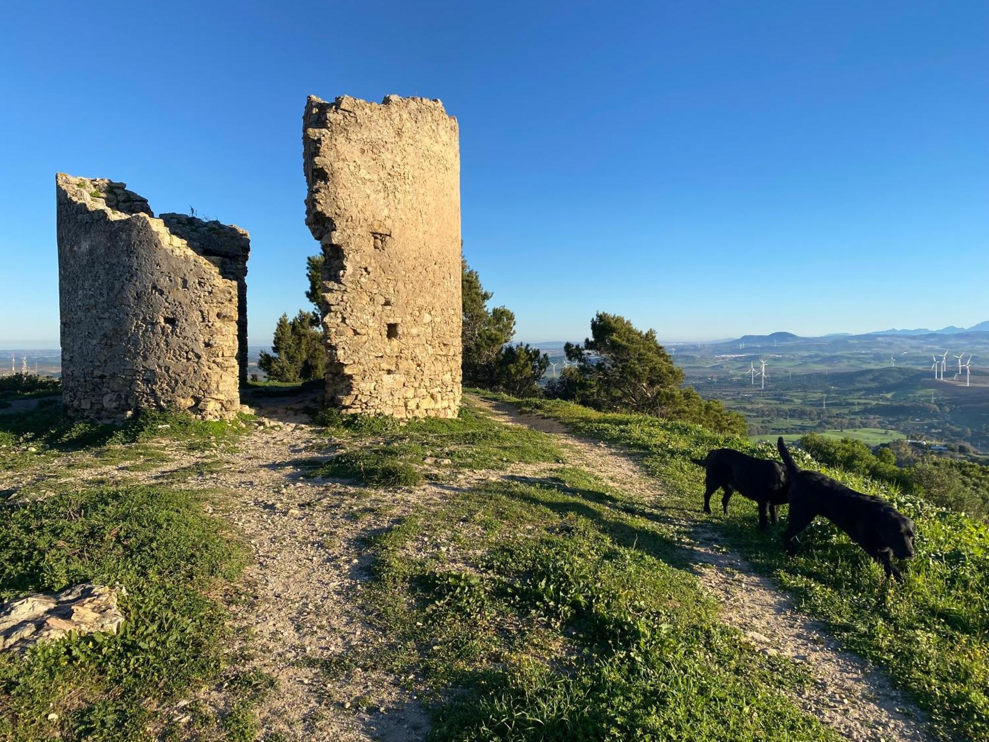 Apartamento Casita De La Suerte Medina-Sidonia Exterior foto